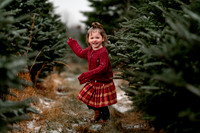 Tree Farm Mini Session JOHNSON Family