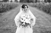 Steve & Alysha's Wedding Day
