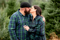 Tree Farm Mini Sanfilippo Family