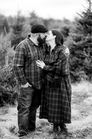 Tree Farm Mini Sanfilippo Family