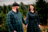 Tree Farm Mini Sanfilippo Family