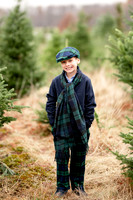 Tree Farm Mini Sanfilippo Family