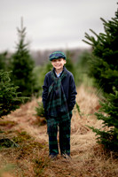 Tree Farm Mini Sanfilippo Family