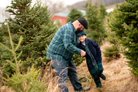 Tree Farm Mini Sanfilippo Family