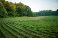 Zoar River Valley
