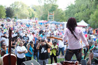 Erie Art Museum 23rd Annual Blues & Jazz Festival
