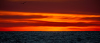 ErieScape, Moon, Sunset
