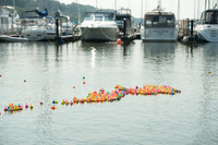 Red Cross Regatta