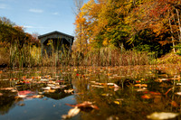 Findley Lake in the Fall
