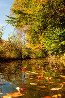 Findley Lake in the Fall