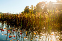 Findley Lake in the Fall