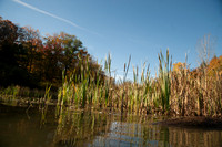 Findley Lake in the Fall