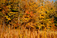 Findley Lake in the Fall