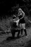 Sarah & Ren Proposal