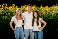 Hulse Sunflower Mini Session