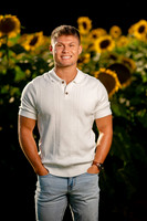 Hulse Sunflower Mini Session