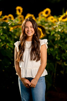 Hulse Sunflower Mini Session