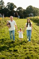 Hulse Sunflower Mini Session