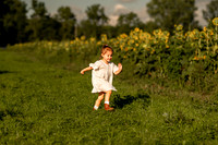 Hulse Sunflower Mini Session