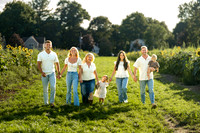 Hulse Sunflower Mini Session