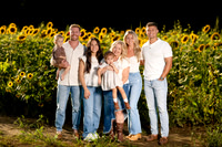 Hulse Sunflower Mini Session