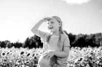 Drop Sunflower Mini Session