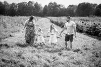 Malyuk Sunflower Mini Session