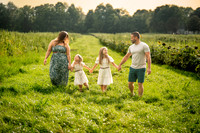 Malyuk Sunflower Mini Session