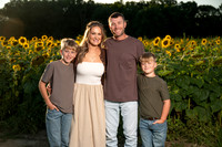 Sult Sunflower Mini Session