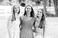Klinge Sunflower Mini Session