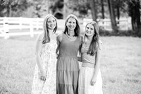 Klinge Sunflower Mini Session