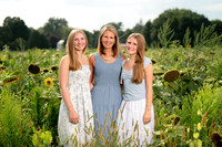 Klinge Sunflower Mini Session