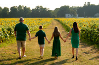 Boam's Sunflower Mini Session