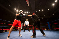 Knock Out Homelessness Round 9
