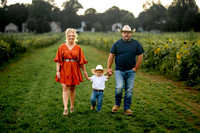 Vanicek Sunflower Mini Session