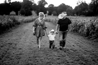Vanicek Sunflower Mini Session