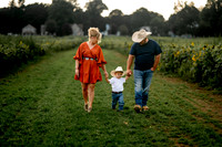 Vanicek Sunflower Mini Session