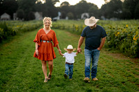 Vanicek Sunflower Mini Session