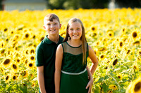 Boam's Sunflower Mini Session