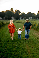 Vanicek Sunflower Mini Session
