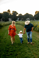 Vanicek Sunflower Mini Session