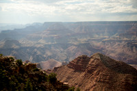 Arizona