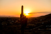 Arizona