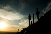 Arizona
