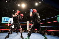 Knockout Homelessness Round 10