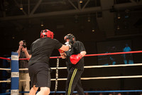 Knockout Homelessness Round 8