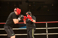 Knockout Homelessness Round 8