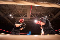 Knockout Homelessness Round 8