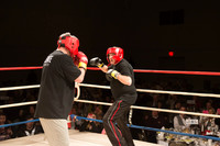 Knockout Homelessness Round 8
