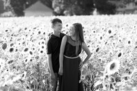 Boam's Sunflower Mini Session